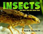 Insects: The Most Fun Bug Book Ever Cheap