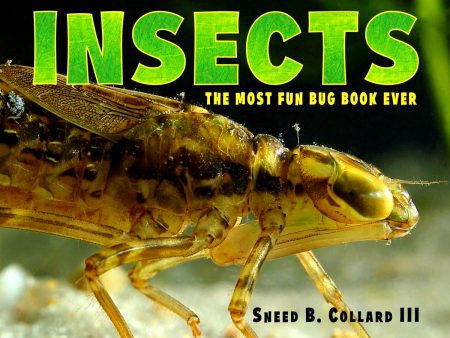 Insects: The Most Fun Bug Book Ever Cheap