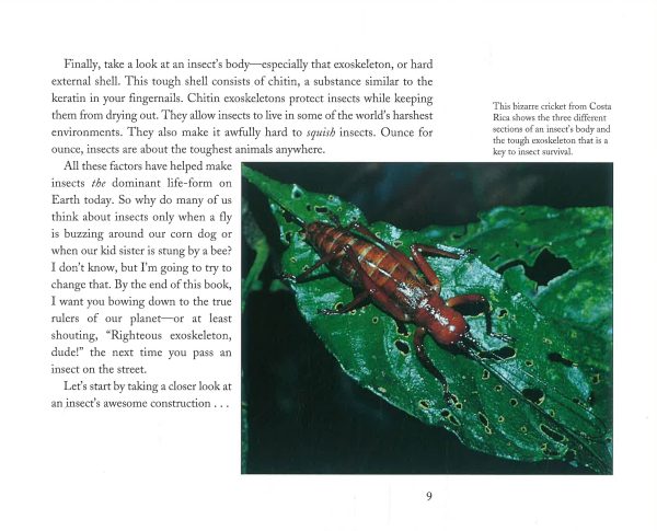 Insects: The Most Fun Bug Book Ever Cheap