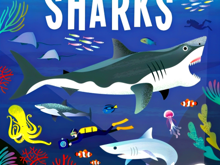 Seek And Find Searchlight: Sharks Online Hot Sale