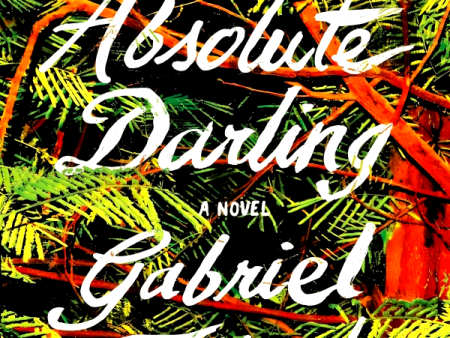 My Absolute Darling: A Novel Fashion