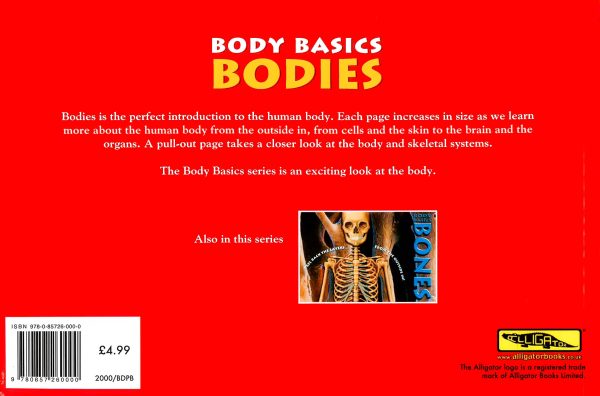 Body Basics: Bodies - Peel Back the Layers... From the Outside In! Cheap