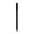 Anastasia Beverly Hills- Lip Liner - SUNBAKED | Rosy Brown Online Hot Sale