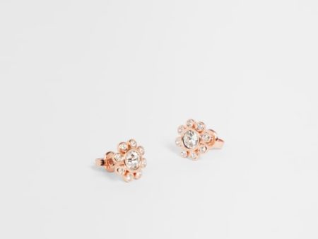 Ted Baker-TBJ2694 Crystal Aurora Stud Earring Cheap