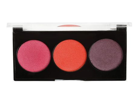 Black Radiance- True Complexion™ Illuminous Glow Palette For Discount