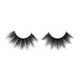 Anastasia Beverly Hills- False Lashes - Gorgina Supply