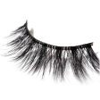 Anastasia Beverly Hills- False Lashes - So Hollywood Supply