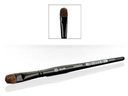 Brush: Large Shade Hot on Sale