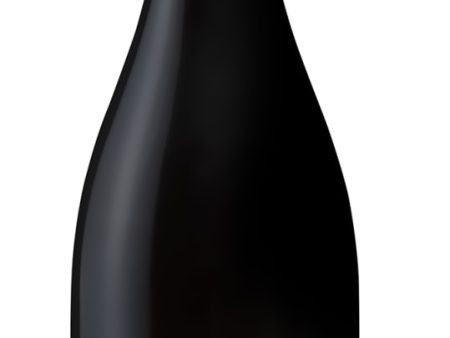 Sokol Blosser Big Tree Block Dundee Hills Pinot Noir 2021 Online